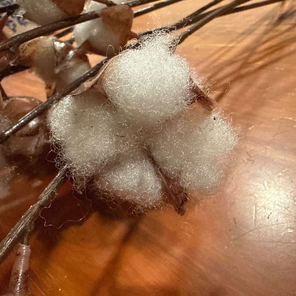 Cotton pick stems lot of 8 - Picture 3 of 3